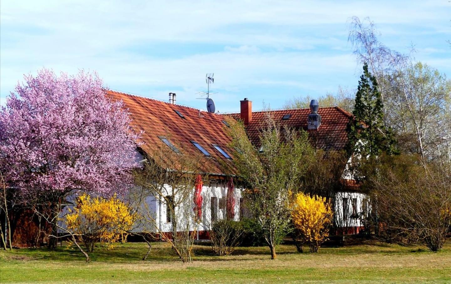 Kigyosi Csarda & Panzio Bed and Breakfast Fulopszallas Buitenkant foto